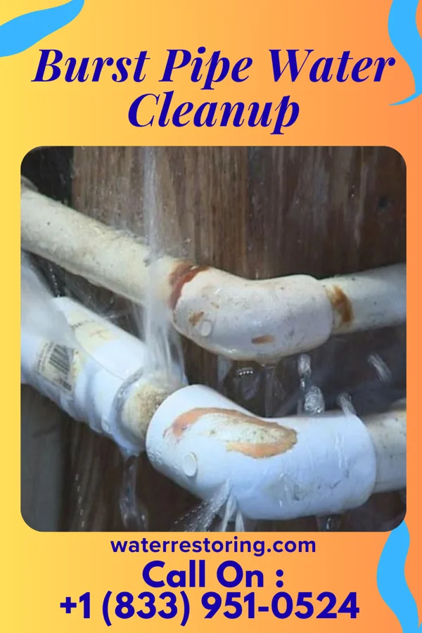 Burst Pipe Water Cleanup in Polo, IL