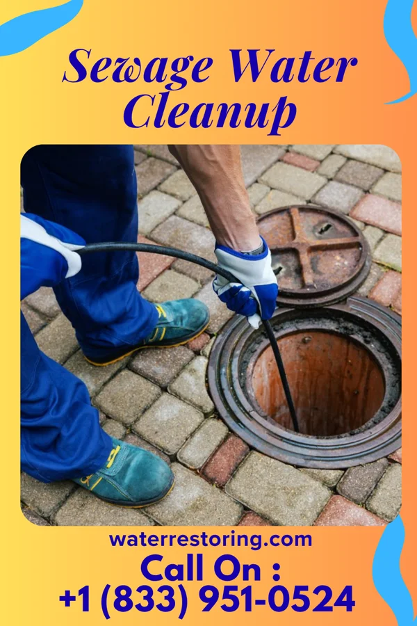 Sewage Water Cleanup in Polo, IL